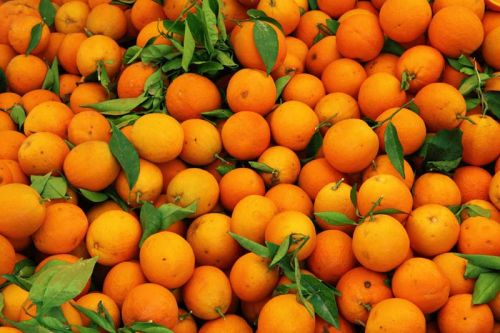 Valencia and Other Oranges