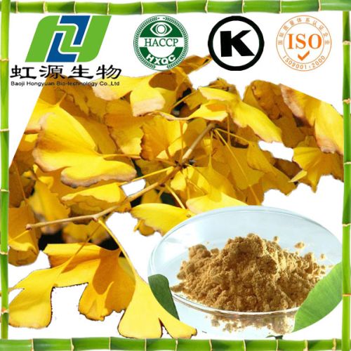 Ginkgo Biloba Extract Powder