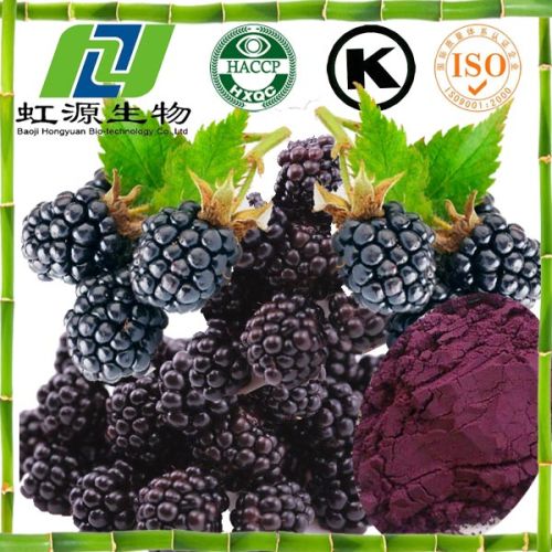 Mulberry Extract