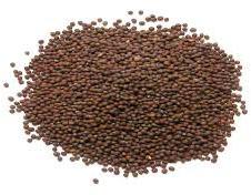 Brown Mustard Seeds