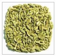 Fennel Seeds