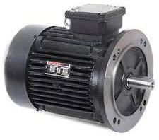 Flange Mount Motor