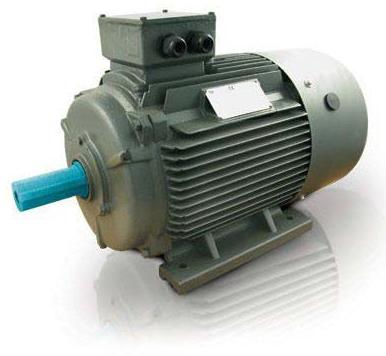 Three Phase Motor