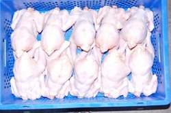 Frozen Halal Whole Chicken