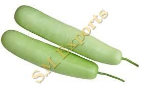 Bottle Gourd