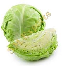 Cabbage, Speciality : Rich In Taste