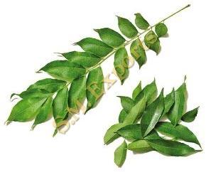 Curry leaves, Usage : Spices, Cooking