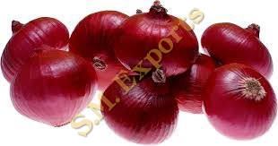 Red onion For Human Consumption