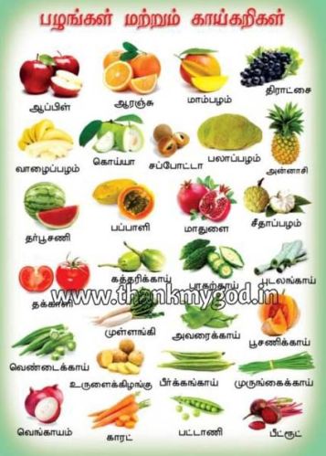 Fruits & Vegetables Chart In Tamil, Color : Multicolor