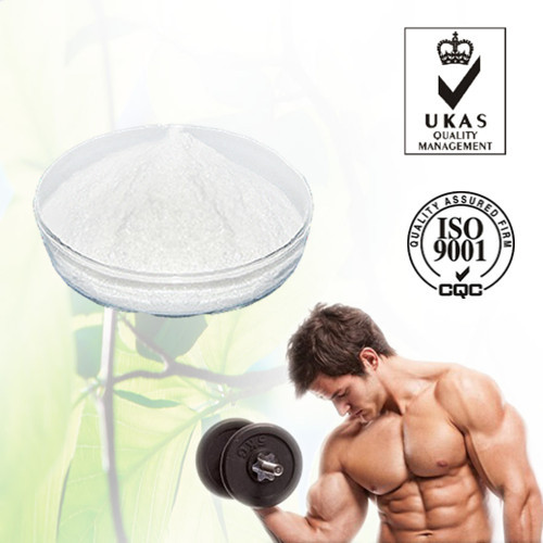 Nandrolone Phenylpropionate