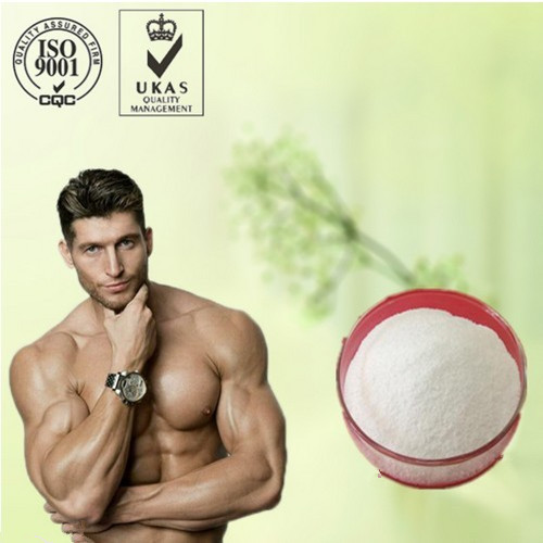 Testosterone Decanoate, Material : Masterone