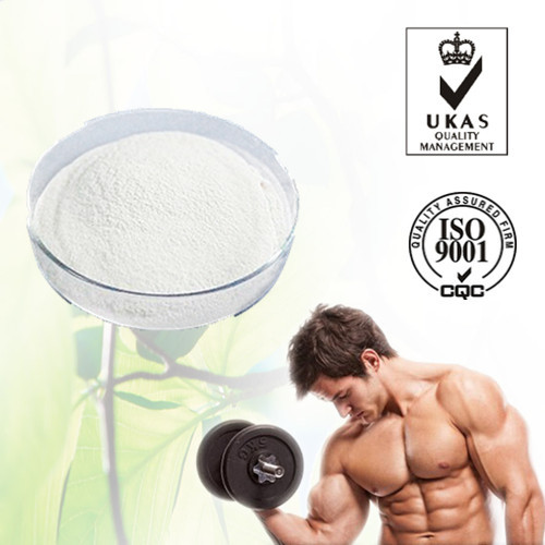 Trenbolone Acetate, Packaging Size : 1ml