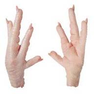 Frozen Whole Chicken, Certification : IFS