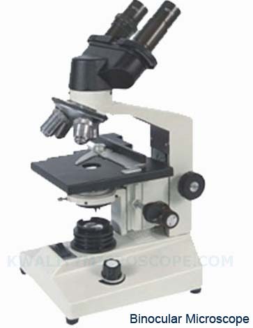 Binocular microscope