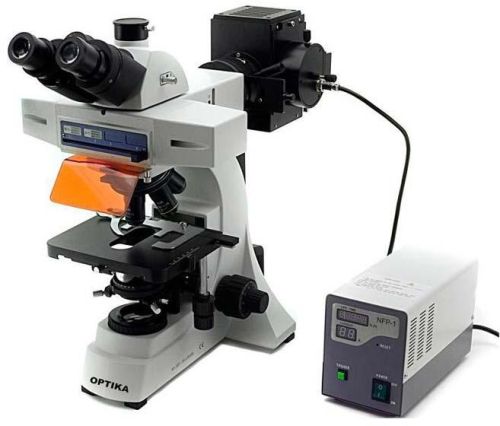 Trinocular Fluorescence Microscope