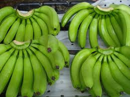 Organic Banana, Packaging Type : green