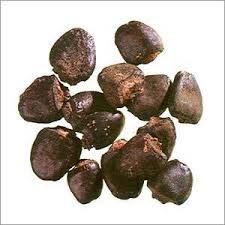 Semecarpus Anacardium