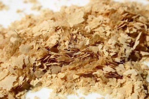 Dried Brewer Yeast Powder, Packaging Type : light yellow