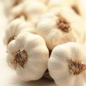 Fresh garlic, Feature : Moisture Proof, Gluten Free