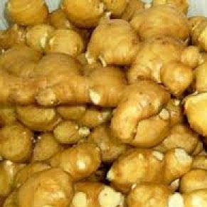 Fresh ginger, High In Gingerol