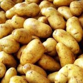 Fresh potato, Type : Vegetable