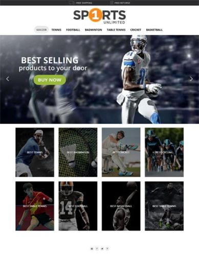 Web Development Solutions