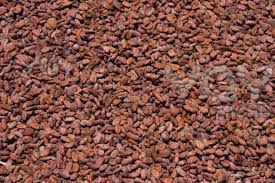 Cocoa beans, Packaging Size : 5-25kg