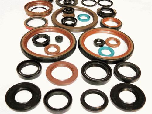 Oil Seal
