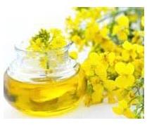 Rapeseed oil, Application : Cooking