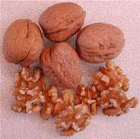 Bulk Walnuts Kernel (Light) and Natural Dried Walnut Nut