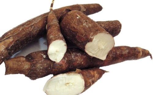Fresh Cassava