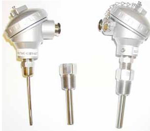 RTD (resistance Temperature Detector)