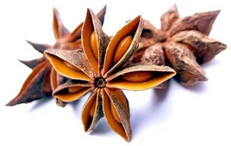 Star Anise Seeds