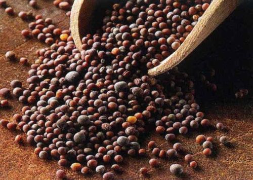 Black Mustard Seeds