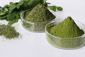 Moringa seeds, Packaging Type : green