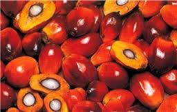 Palm oil, Processing Type : Refined