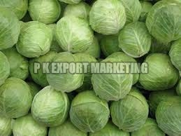 Fresh cabbage, Use : Use in Cooking