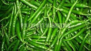 Fresh green chilli, Variety : G4