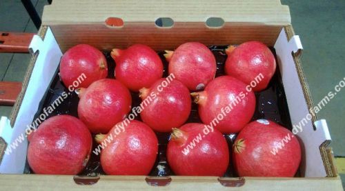 Pomegranate, Type : Fresh