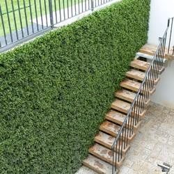 Artificial Green Wall