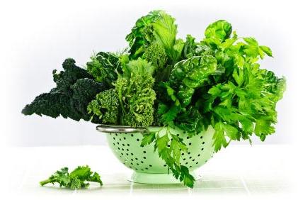 Fresh Leafy Vegetables