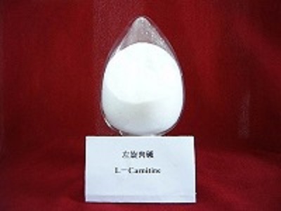 L Carnitine Base