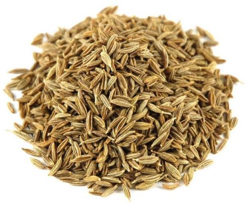 Cumin Seed