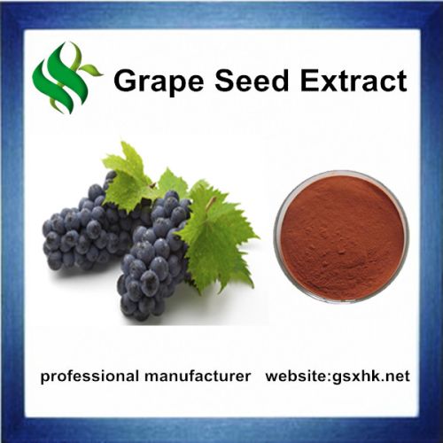 100% Natural Grape Seed Extract