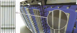 Electrochlorination System