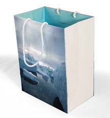 Offset Printed Carry Bags