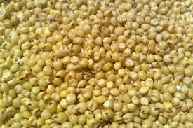 Yellow Millet