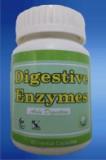 Digestive Enzymes Capsules