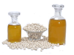 Moringa Seed Oil