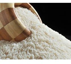 Printed Packaging Box, Size : Standard